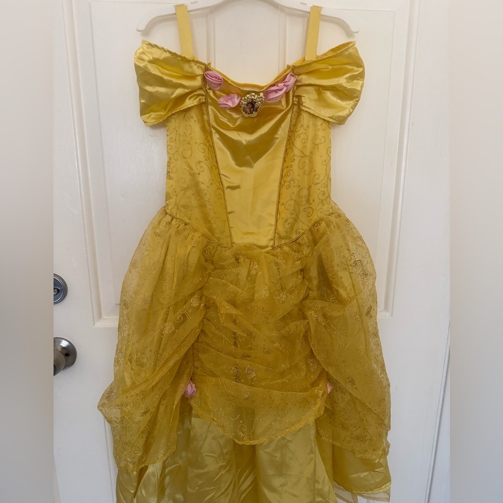 Princess Belle Costume